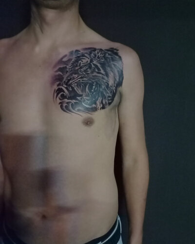 Anahata Ink Tattoo Kuta Bali - Tiger Tattoo On The Chest